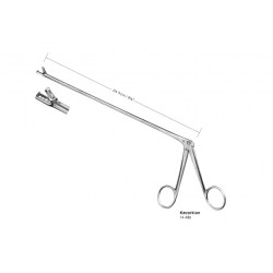 Gynecology, Obstetrics